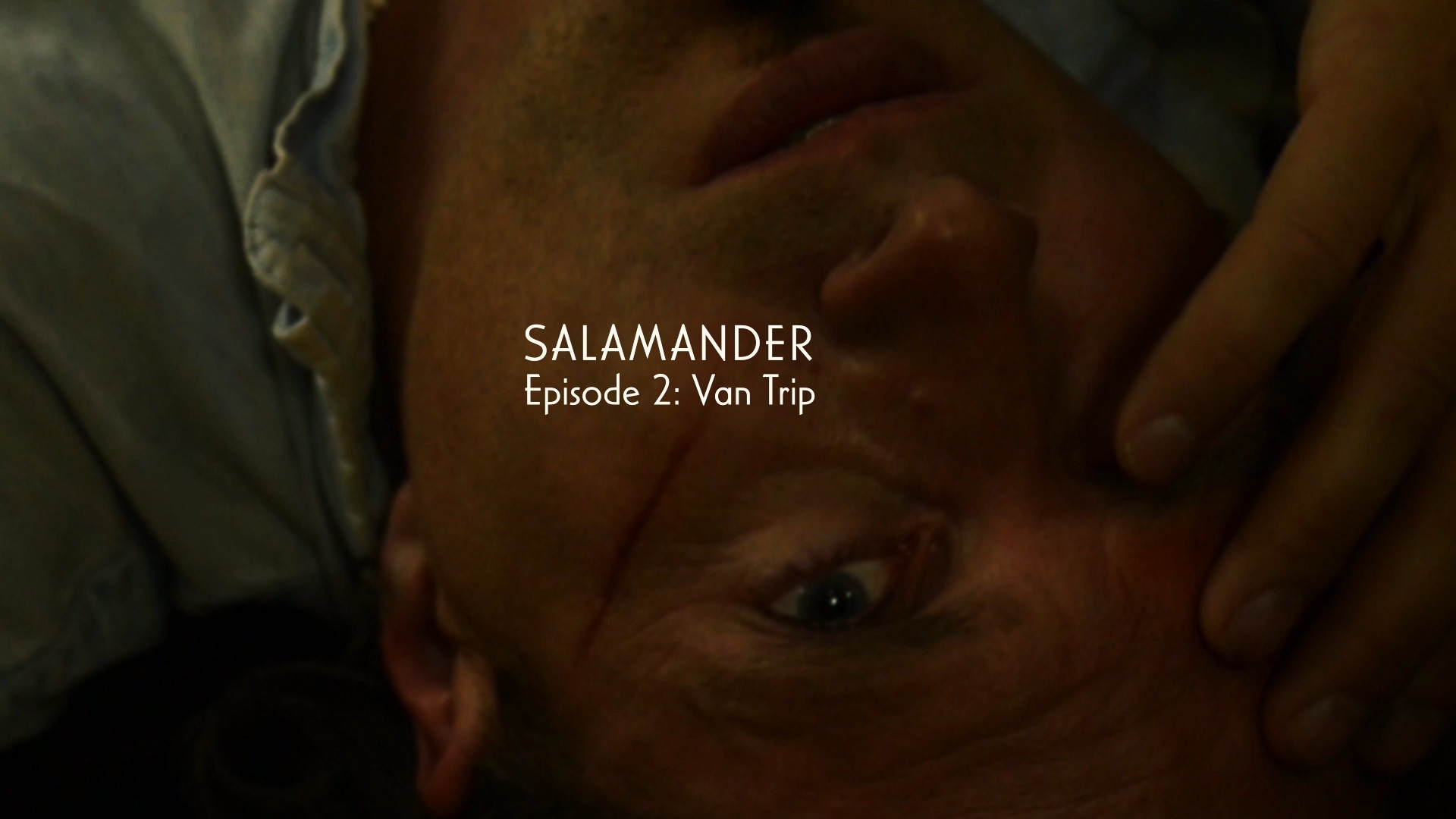 salamander-09